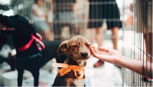 1661851928141957.jpg 55.jpg