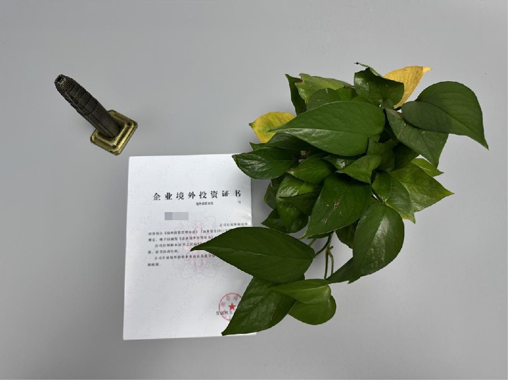 境外投資備案 境外投資備案