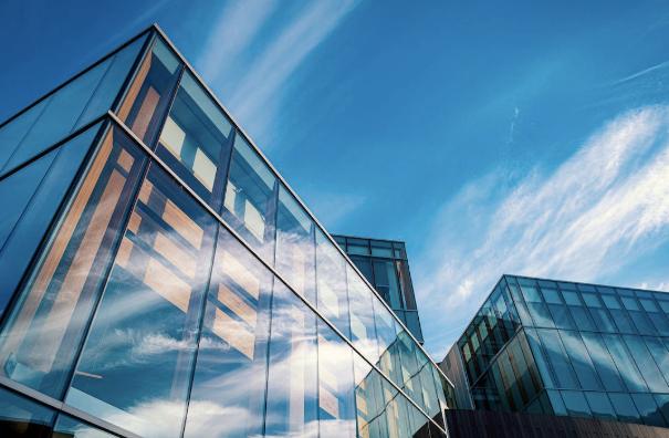 企業(yè)境外投資 企業(yè)境外投資