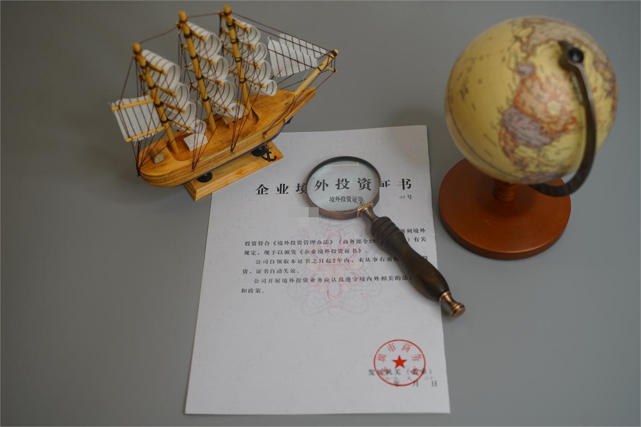 企業(yè)境外投資 企業(yè)境外投資