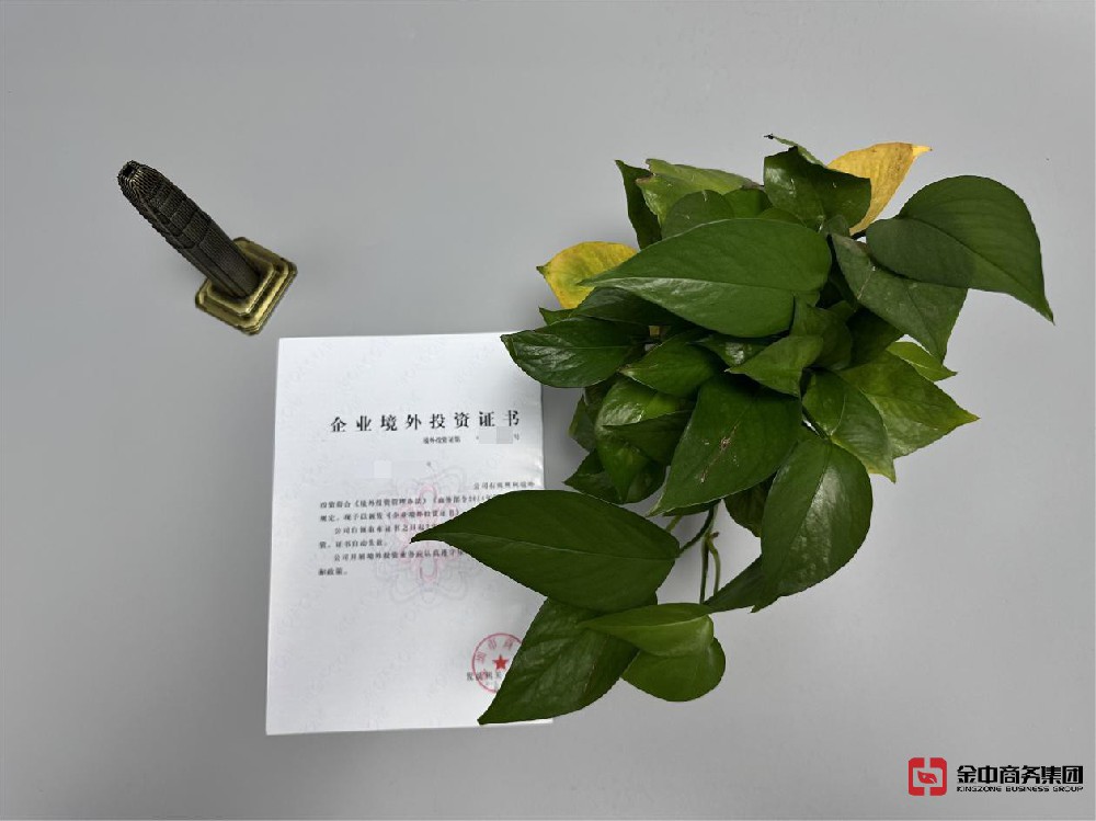 外商投資備案 外商投資備案