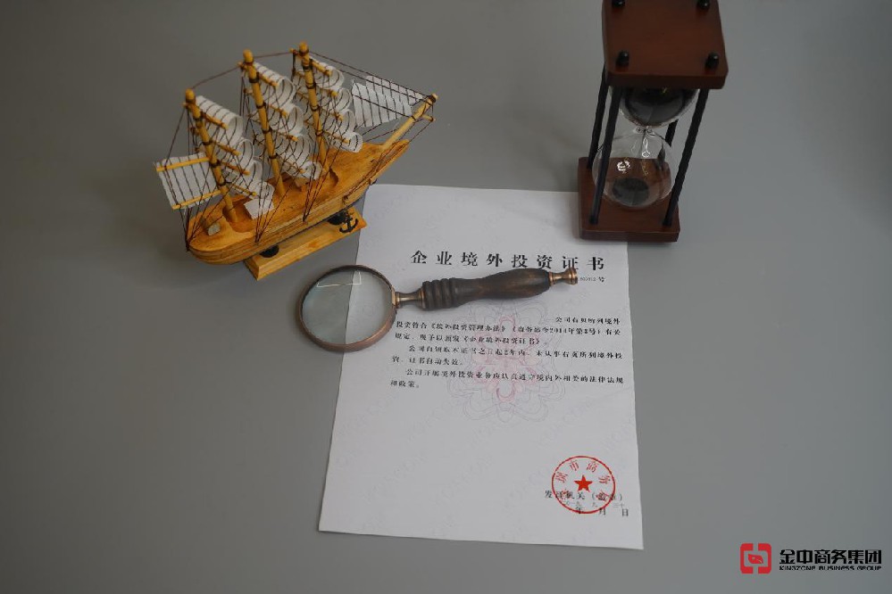 37號文登記 37號文登記