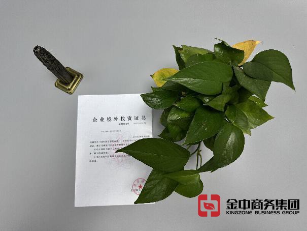 odi備案辦理 odi備案辦理