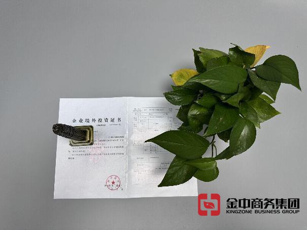 odi備案辦理 odi備案辦理