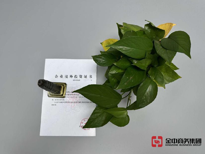 FDI登記備案 FDI登記備案