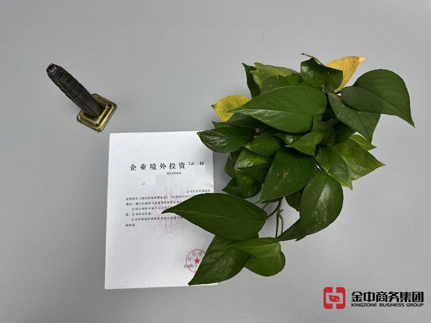 37號文登記 37號文登記