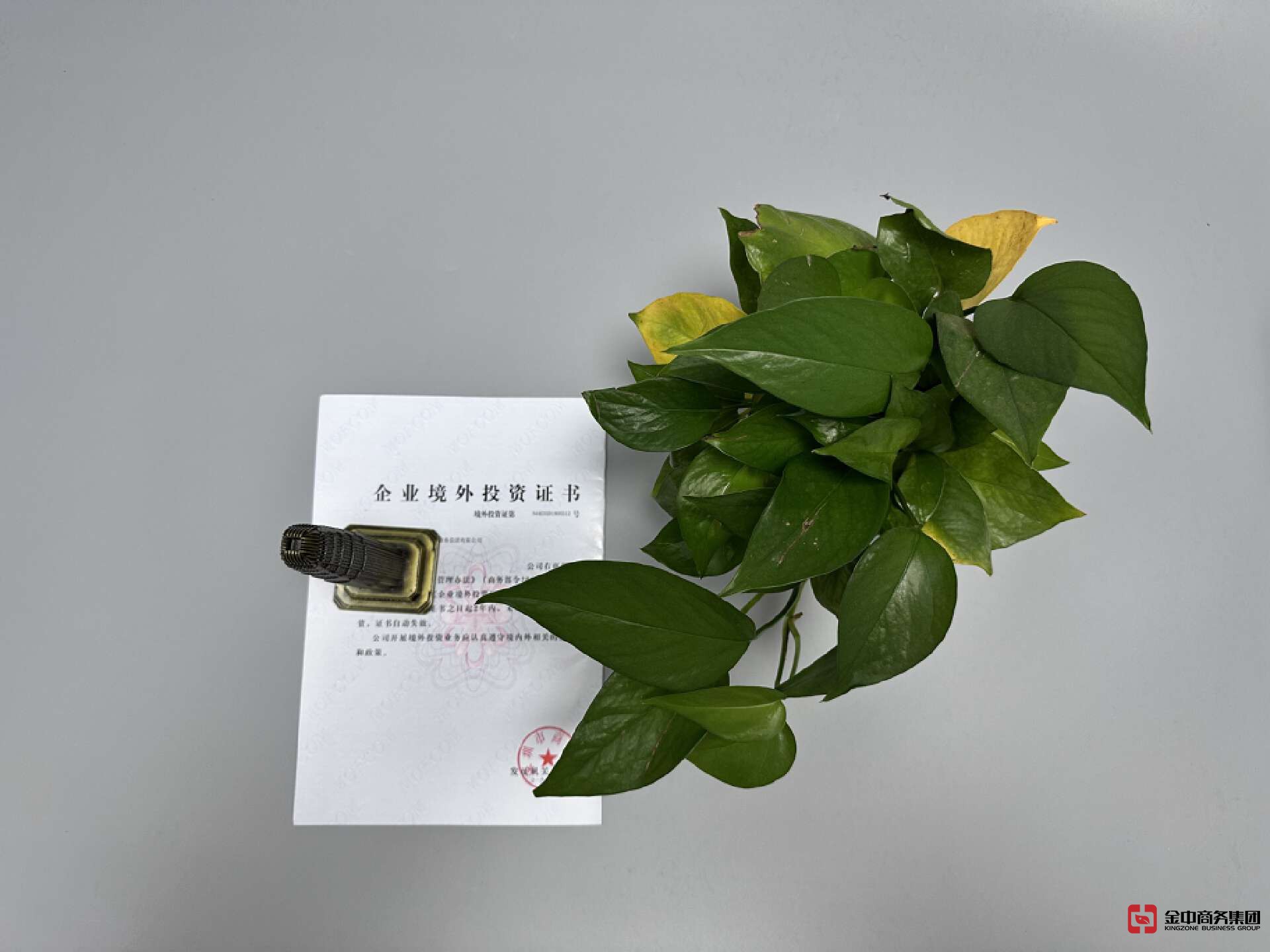 外商投資備案 外商投資備案